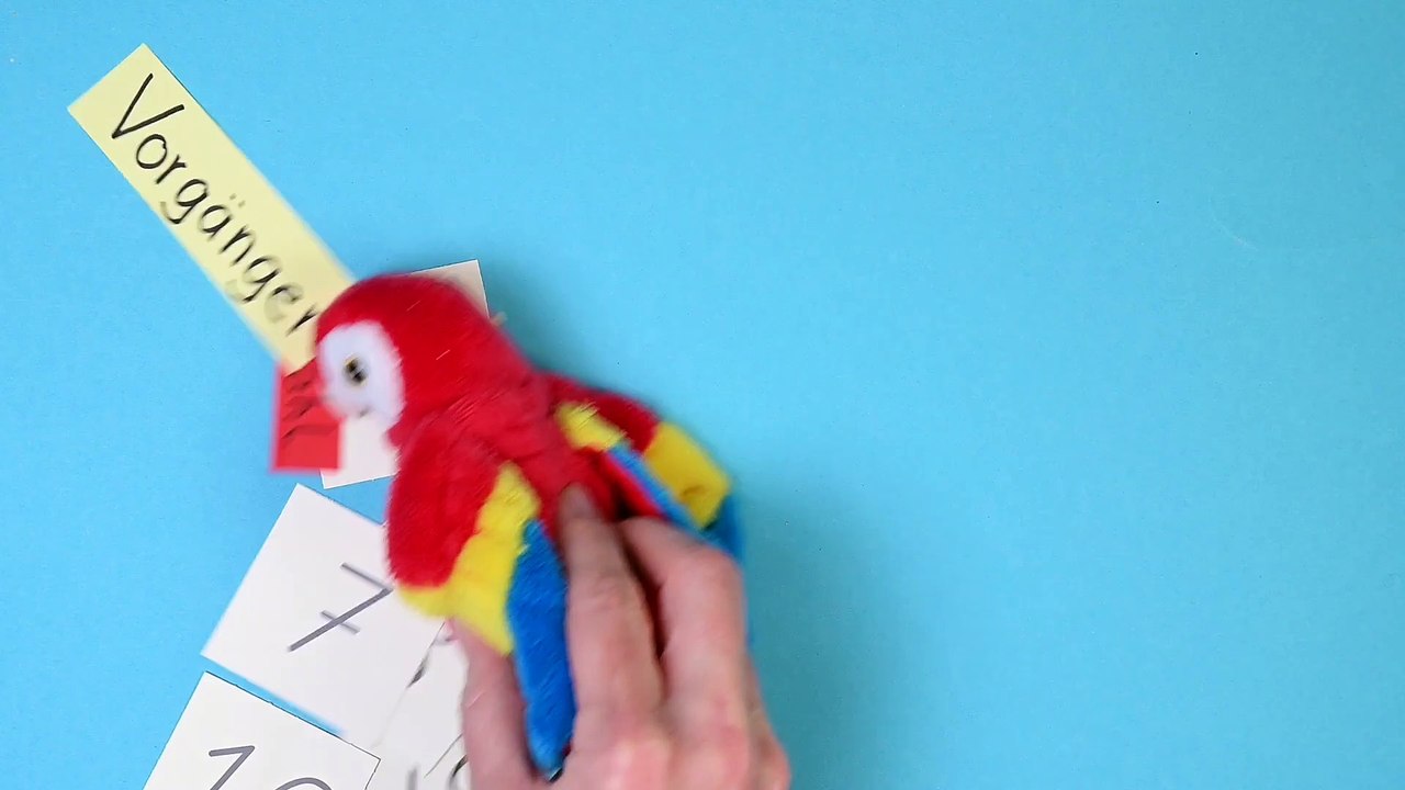 Vorgänger und Nachfolger