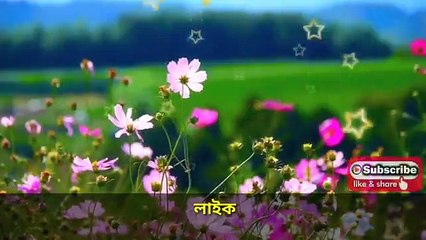 আল্লাহ নিজে ওয়াদা করে বলেছে,সিজদার মধ্য দোয়াটি পড়ে যা চাইবে তাই দিবো। রাতারাতি মনের আশা পূরণ হবেইSuravee Azad's World