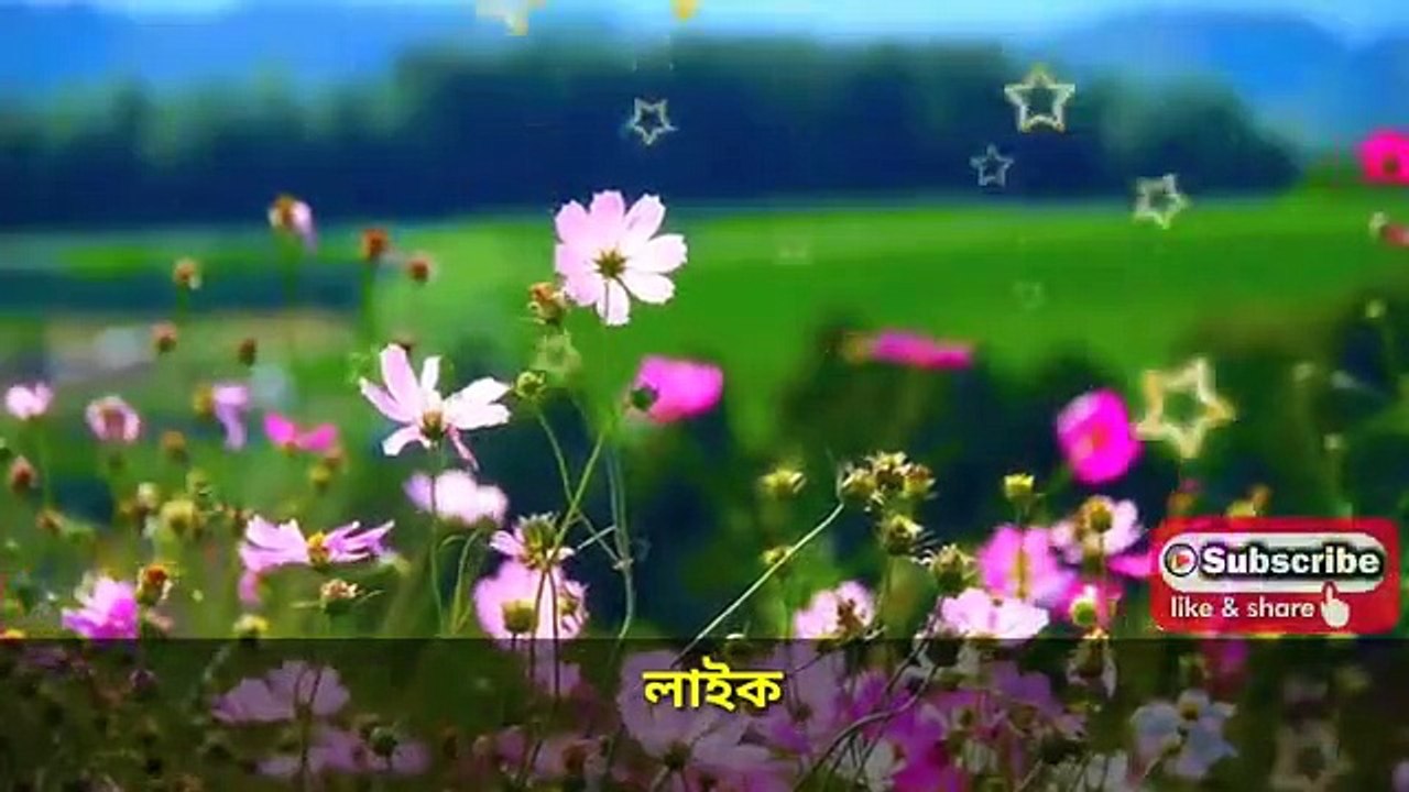 আল্লাহ নিজে ওয়াদা করে বলেছে,সিজদার মধ্য দোয়াটি পড়ে যা চাইবে তাই দিবো। রাতারাতি মনের আশা পূরণ হবেইSuravee Azad's World