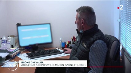 Gel : le dilemme des agriculteurs au sujet des assurances contre les risques climatiques