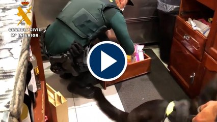 Detenido el propietario de un bar de copas por tráfico de drogas en La Rioja