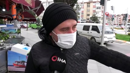 Yaya Geçidini Kullanan Kedi MOBESE Kameralarına Yansıdı İha