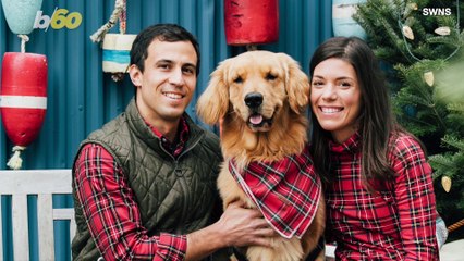 Hide and Seek With This Adorable Dog is the Video You Need to See!