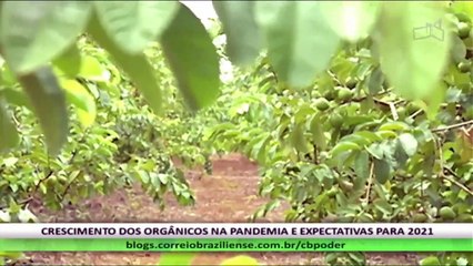 CB.Agro - Joe Valle - 9/4