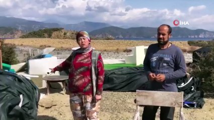 Dünyaca ünlü Yassıca Adası'nda yıkım