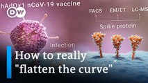 Will vaccine campaigns actually beat COVID-19- Yes, but it's complicated -