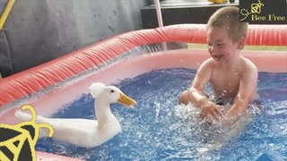 Boy And His Duck Best Friends Have So Much Fun Together