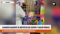 Lagarto gigante se metió en un super y causó pánico
