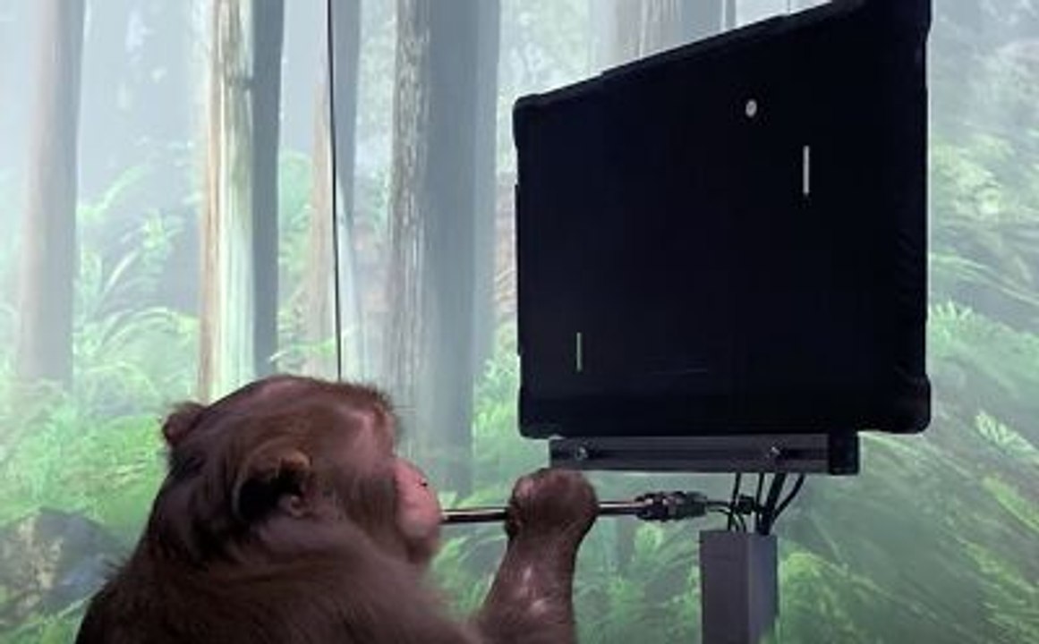 Elon Musk's Neuralink Shows Monkey Playing Video Game With Mind