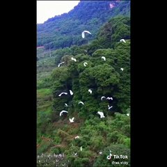 Natural beauty _ Winter season _ Tiktok Videos