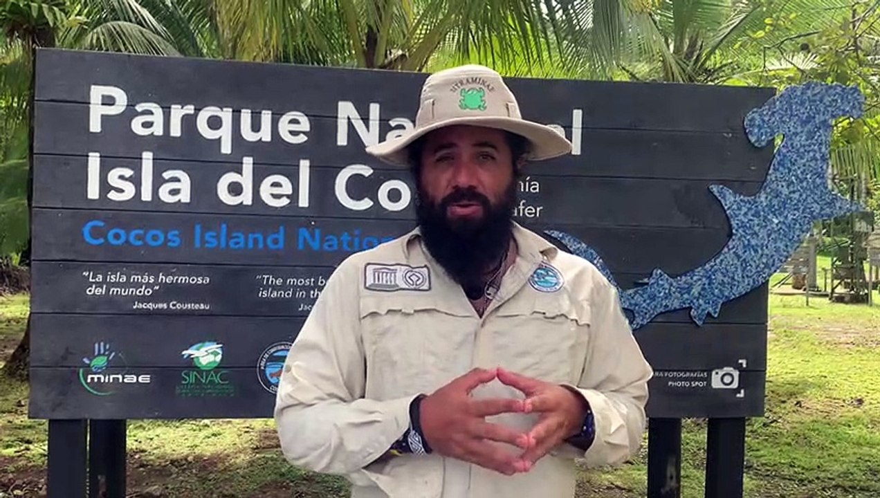 ext-tortuga-atrapada-entre-redes-de-pesca-fantasma-en-isla-del-coco-090421