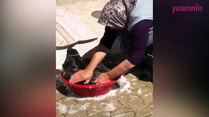 Yaşlı teyzenin köpeğini leğende yıkadığı görüntüler güldürdü!