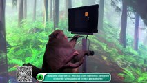 Telepatia cibernética- Macaco com implantes cerebrais comanda videogame só com o pensamento