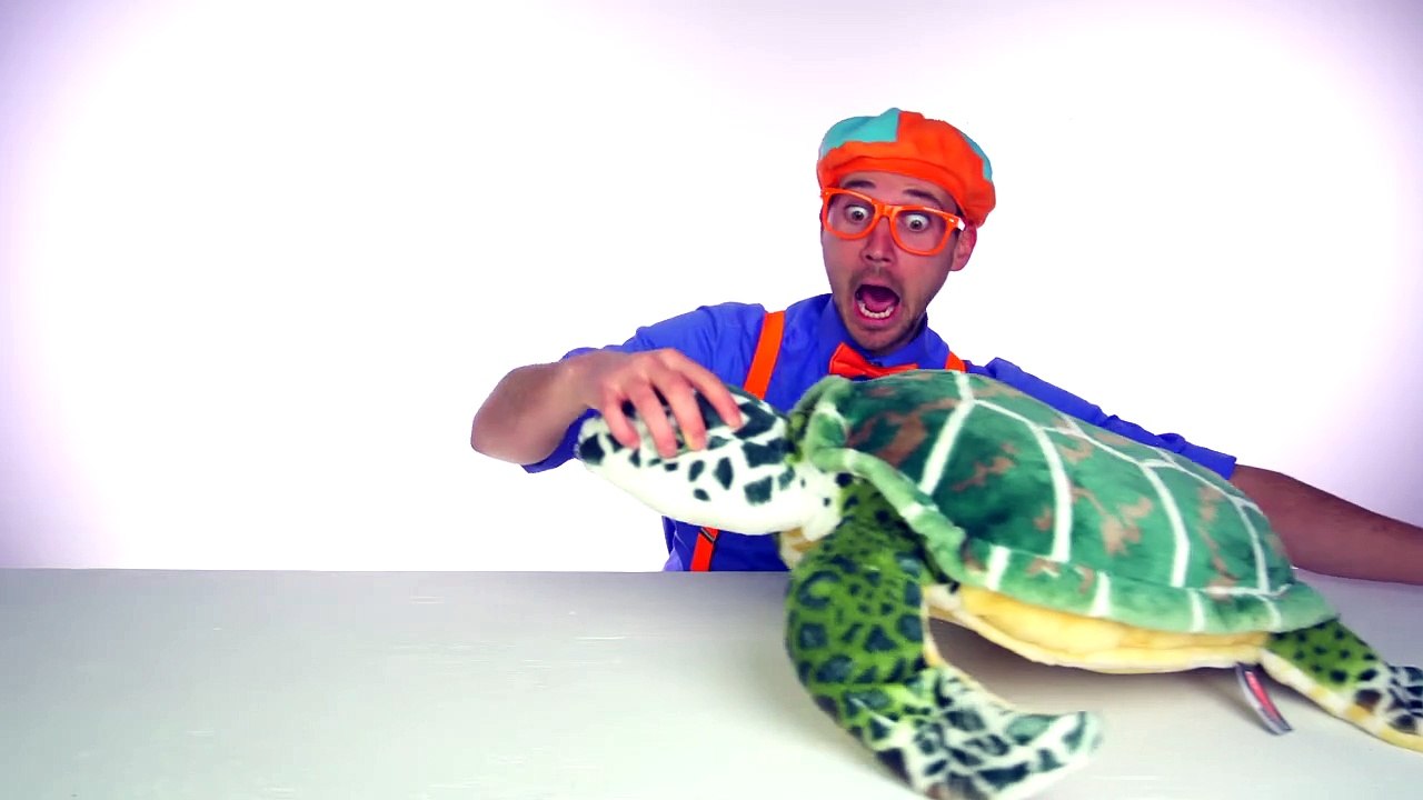 Animal Songs For Children | The Tortoise Song By Blippi