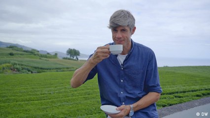 Europe to the Maxx: Europe’s oldest tea plantation