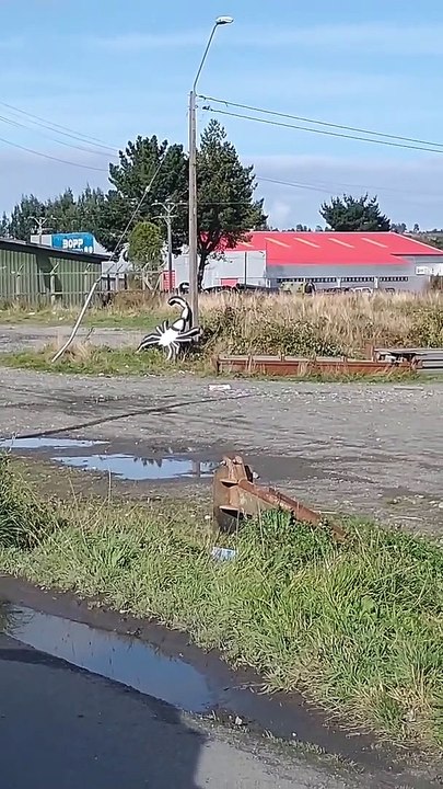 Noticias y Turismo Buenos Dias Chicos un paseo de puerto varas a puerto montt en chile escuchando la cancion de los iracundos