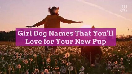 Girl Dog Names That You'll Love for Your New Pup
