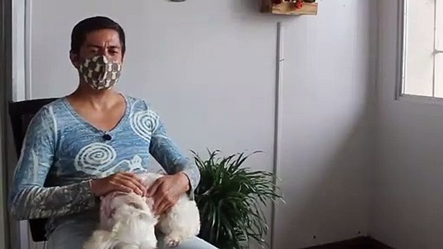 Perros psicólogos ayudan a la salud mental de pacientes del San Juan de Dios