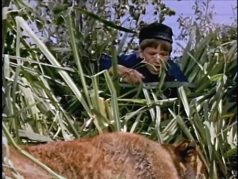 A Dog of Flanders Movie (1960) - David Ladd, Donald Crisp, Theodore Bikel