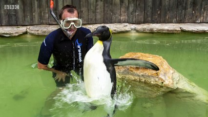 Ingenious Animals S01E03 Communication (15 September 2016)