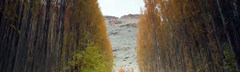 Hercai Capitulo 304 Completo Hercai Capitulo 304 Completo Hercai Capitulo 304 Completo