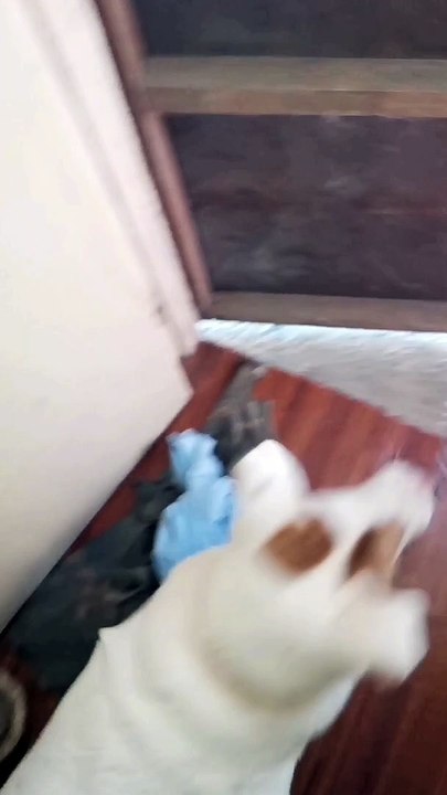 Nagmamadaling Lumabas