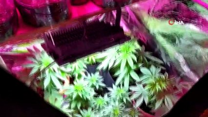 İstanbul’un göbeğinde “bez dolaptaki” uyuşturucu serasına baskın kamerada