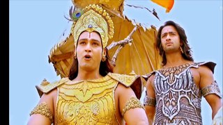 krishna raises question over bhishma's dharm