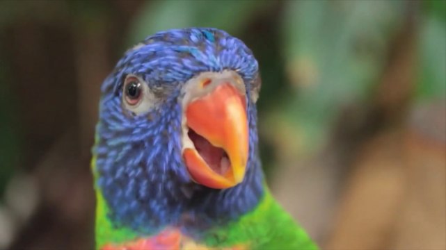 Biting small insects Insect bites