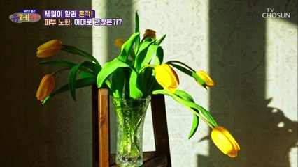 나이에 따른 얼굴 변화.. ‘피부 나이’를 결정하는 진피란? TV CHOSUN 20210411 방송