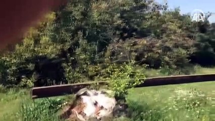 Afrin'de teröristlerin "eğitim alanı" bulundu