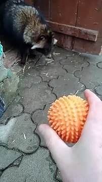 Кружочек и нет настроения