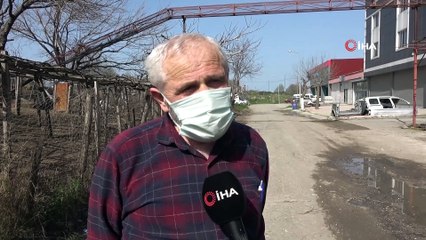 Tavukları için üst geçit yaptı