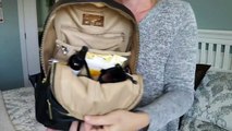 What’S In My Diaper Bag? // Diaper Bag Review // Ryla Pack