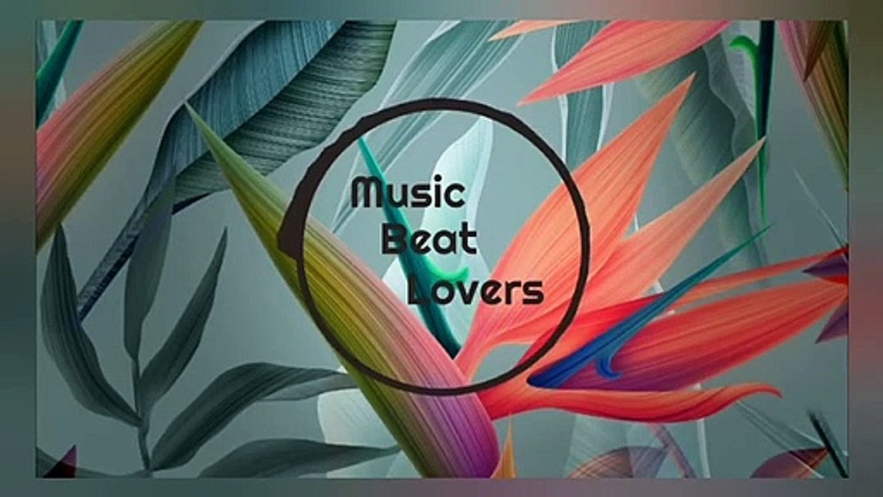 Jim Yosef x ROY KNOX - Sun Goes Down | Music Beat Lovers  | WhatsApp status vedio