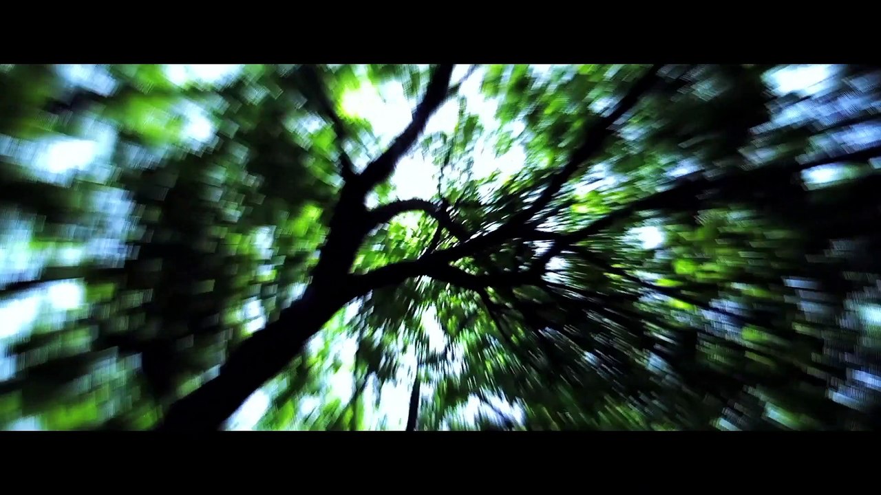 Trap Trailer