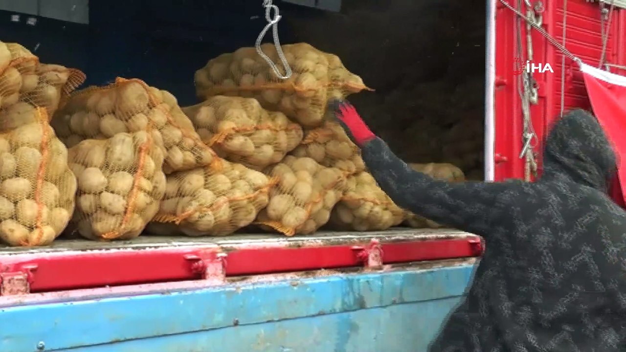 TMO, Nevşehir’de patates alımlarına başladı