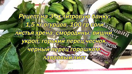 Соленые огурцы на зиму - самый простой способ засолки