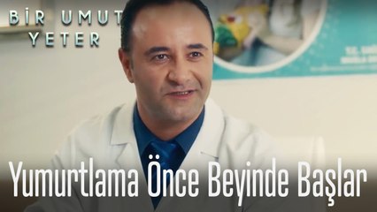 Kadınlarda yumurtlama önce beyinde başlar