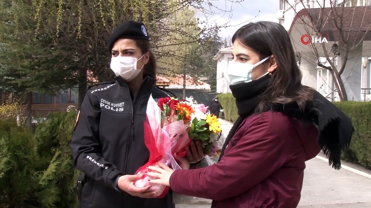 Sahne polis köpeklerinin... Polis Haftası gösterilerinde eğitimli polis köpekleri yeteneklerini sergiledi