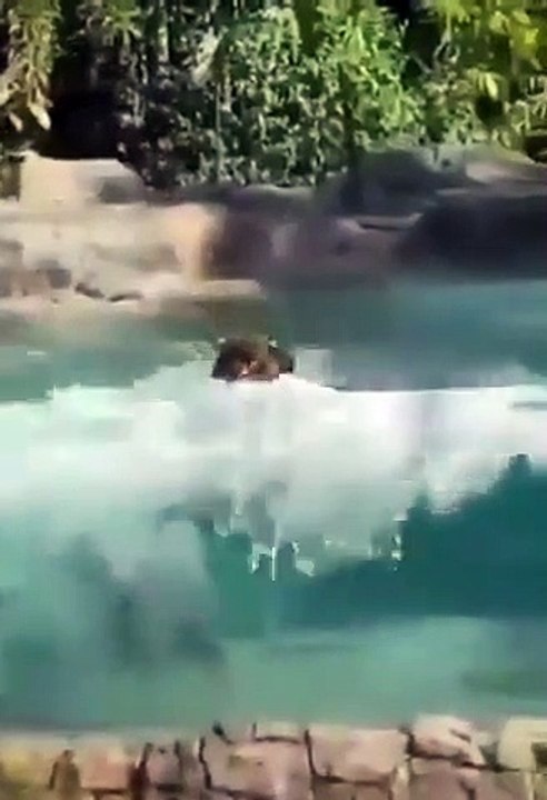 Best videos, Top videos, Viral videos Funny videos no. 77