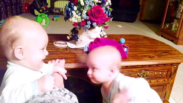 Cute Twins Babies Fighting - Funny Babies Videos