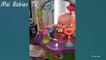 Baby Reaction  Best Of Funny Babies Scared Of Toys  Funny Baby Videos Compilation