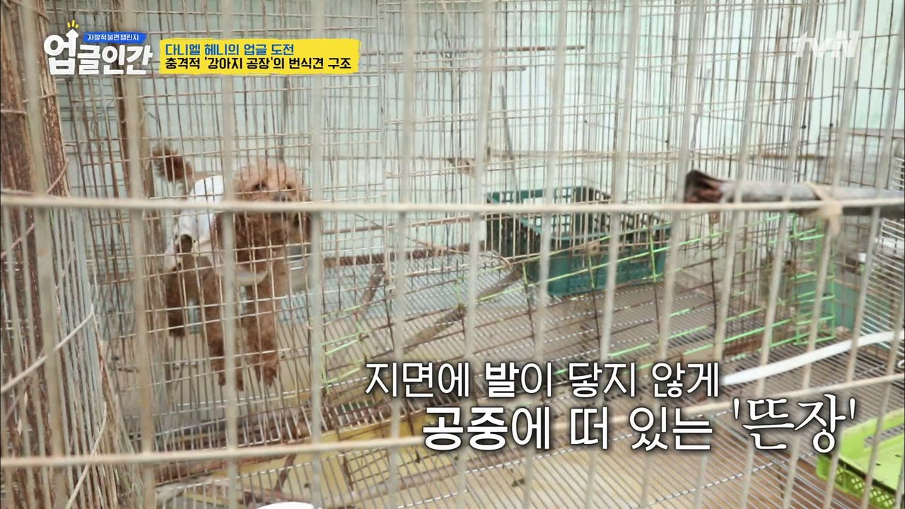 바닥에 발이 닿지 않고 공중에 떠 있는 ′뜬장′에 갇힌 아이들..