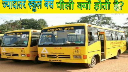 स्कूल बस पीली क्यों होती है ? Advance Facts