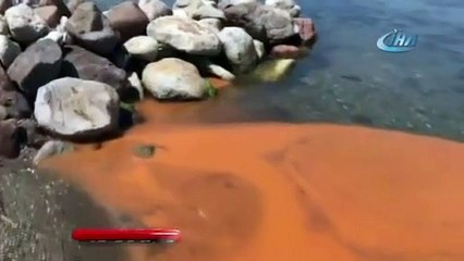 Panik hakim! İzmir’de korkutan görüntü