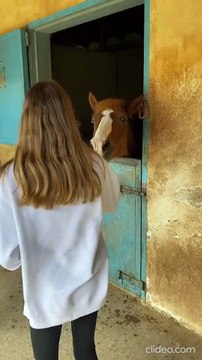 Κάτια Ζυγούλη: Για ιππασία με τα τέσσερα παιδιά της - Δες το μοναδικό βίντεο!