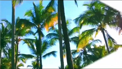 Bamboo - Masaya (Official Music Video)