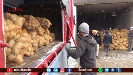 Elde kalan patates içim TMO devreye girdi