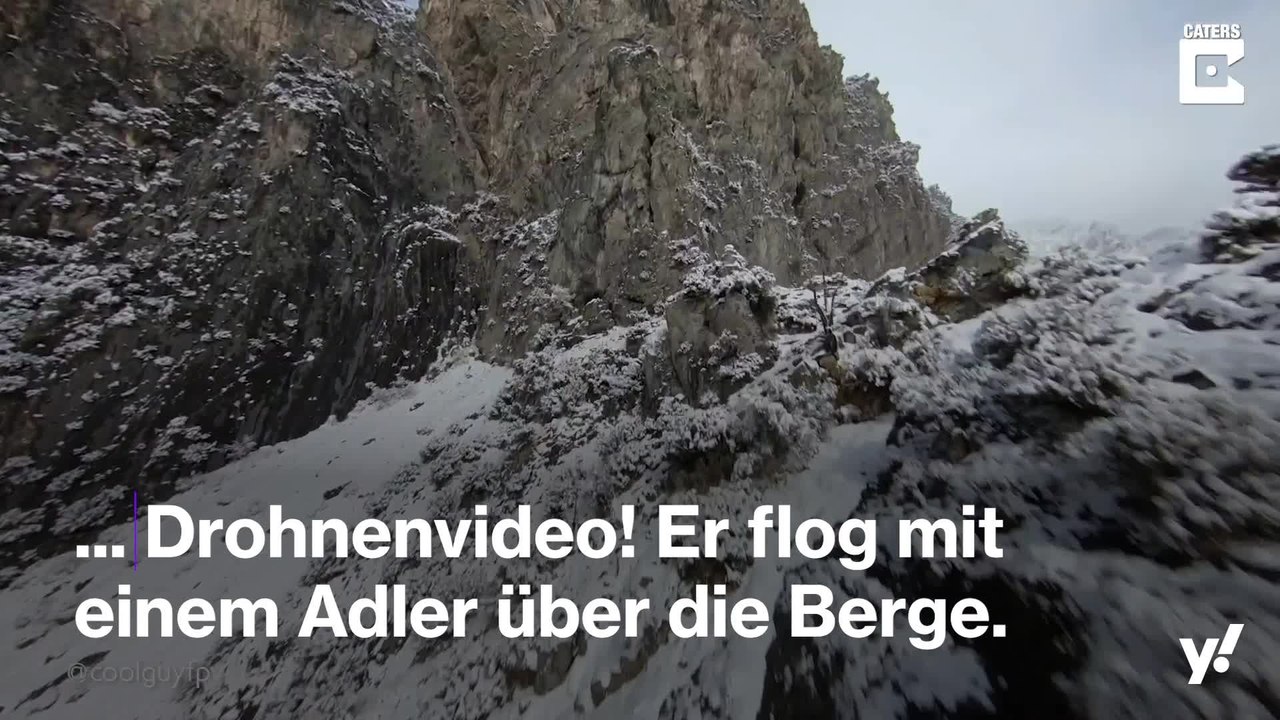 Frei wie ein Vogel: Drohnenflug mit einem Adler